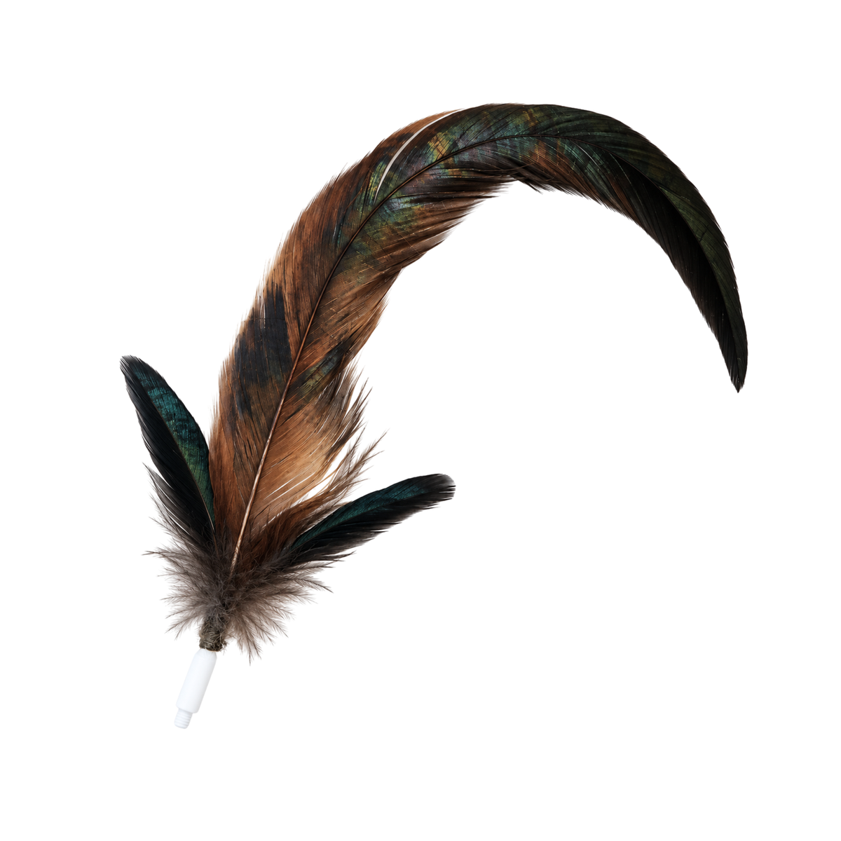WildHunt Crested Coque Feather