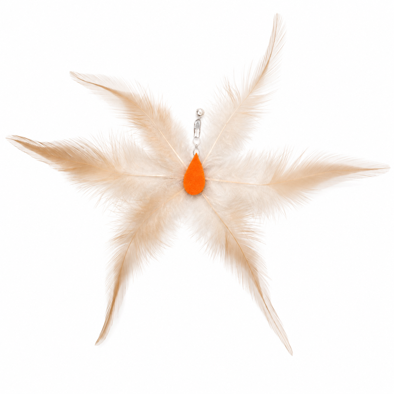 Goose Feather Spider