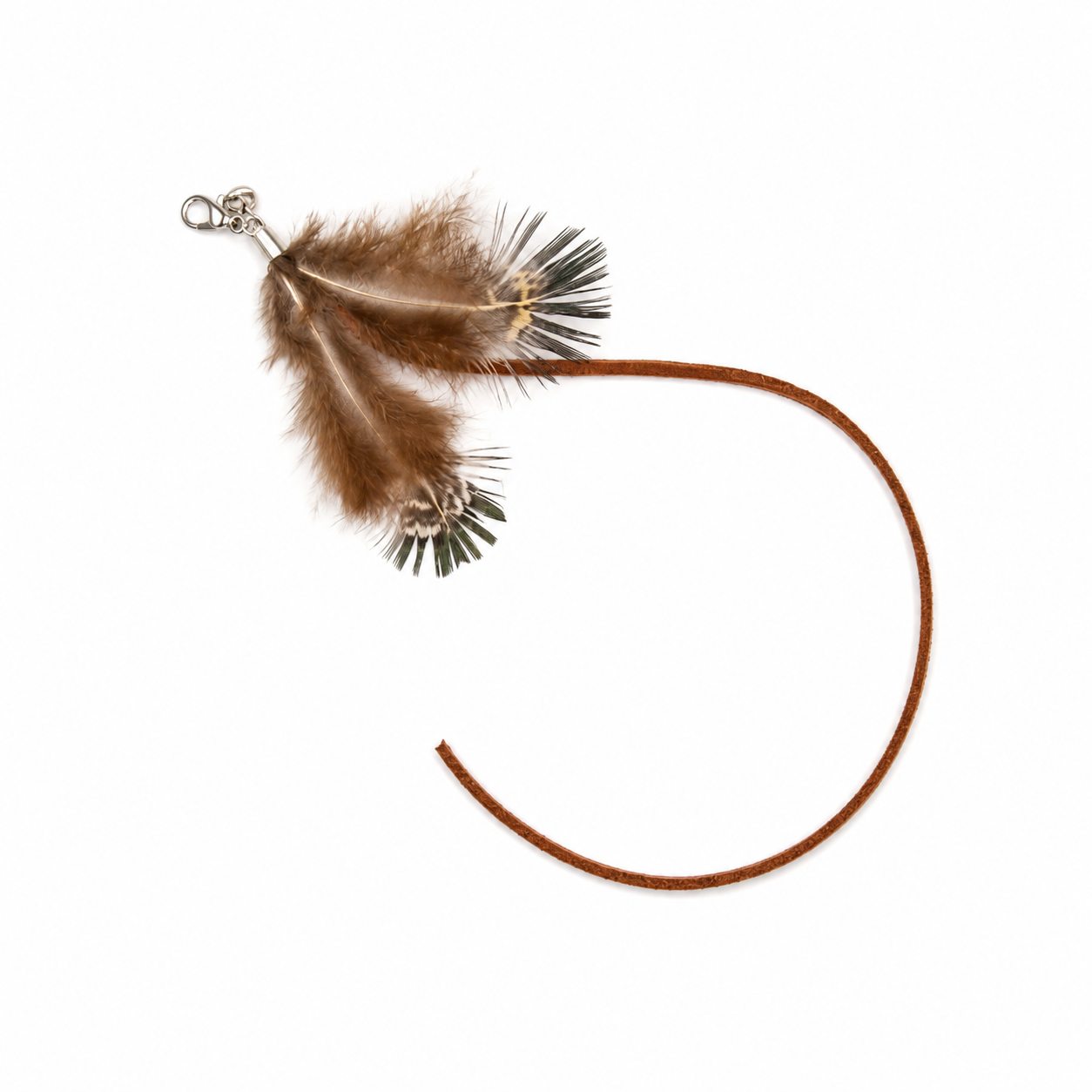 Long Tail Moth
