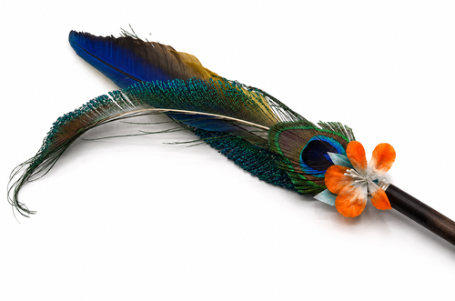 Fancy Parrot and Peacock Feather Cat Wand