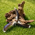 Pinwhell Feather - Duck Feather