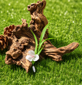 Botanical Orchid Grass (Twist Attachment)