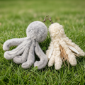 Prey Octopus